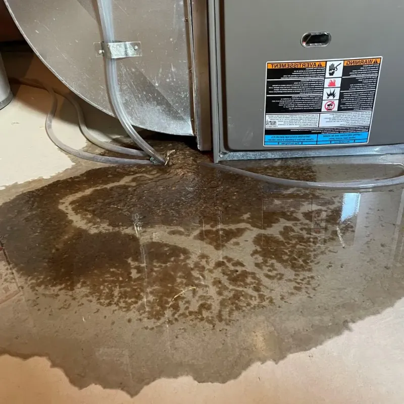 Pipe Burst and Leak Restoration in New Albany, OH